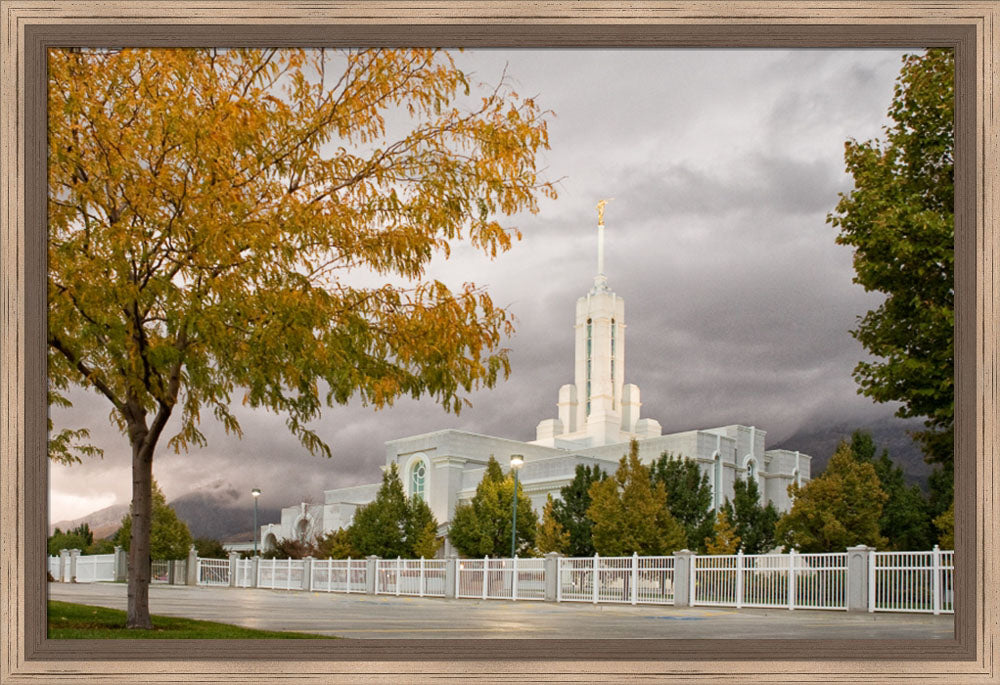 Mt Timpanogos Temple - Fall Yellow Trees