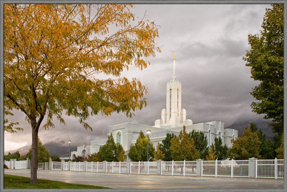 Mt Timpanogos Temple - Fall Yellow Trees