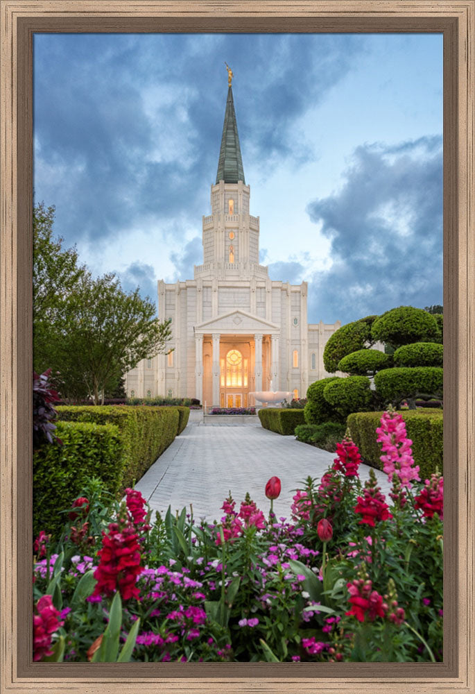 Houston Temple - Spring Tulips