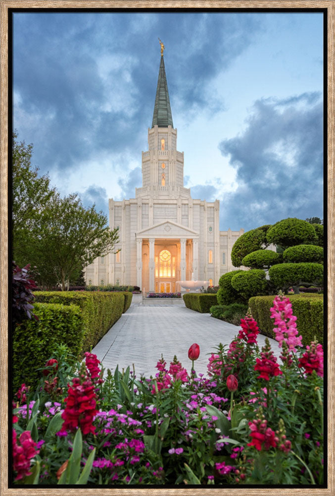 Houston Temple - Spring Tulips