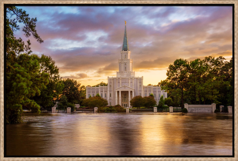 Houston Temple - Reflection of Hope