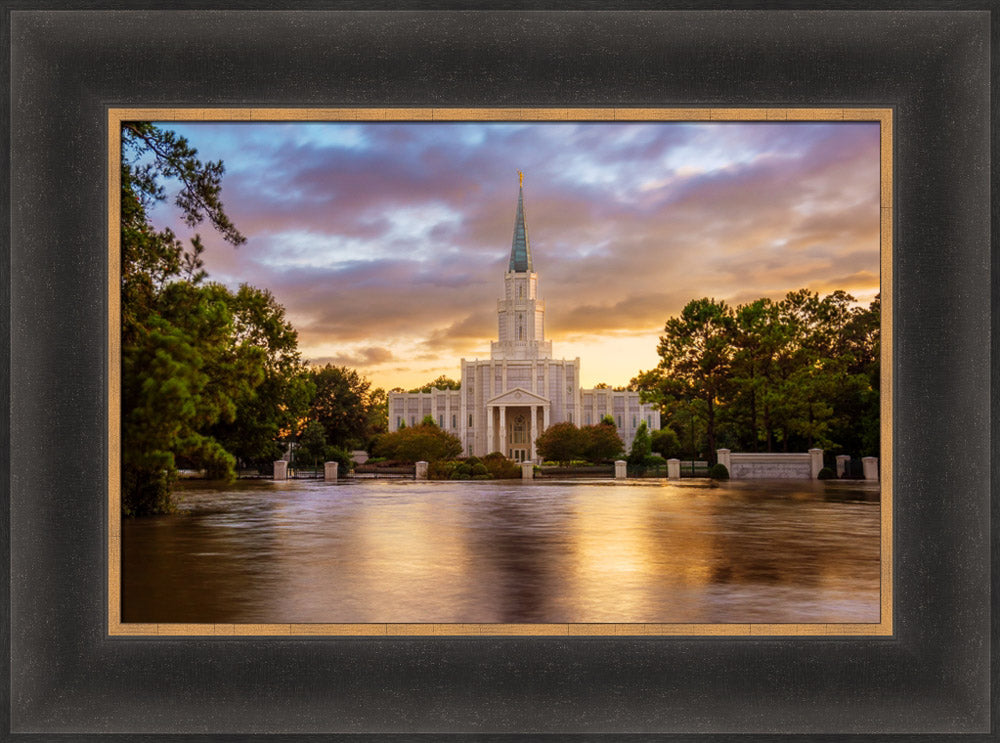 Houston Temple - Reflection of Hope