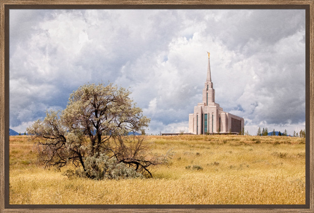 Oquirrh Mountain Temple - Tree and Field