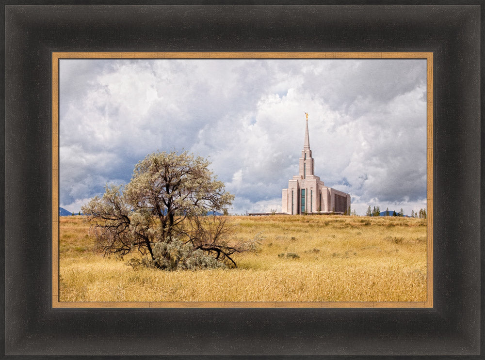 Oquirrh Mountain Temple - Tree and Field