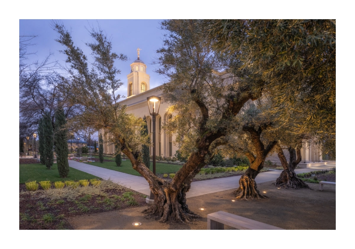 Feather River Temple - Evening Glow