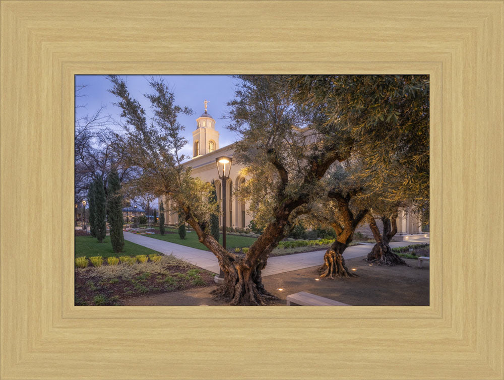 Feather River Temple - Evening Glow