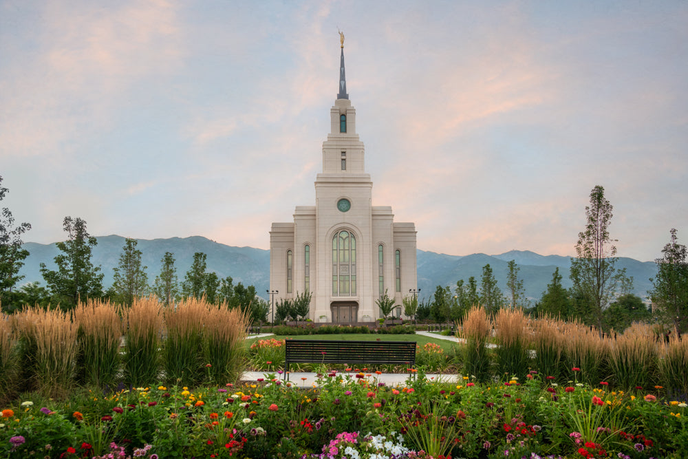 Layton Temple - Flowers