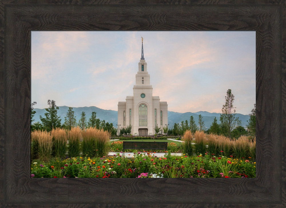 Layton Temple - Flowers