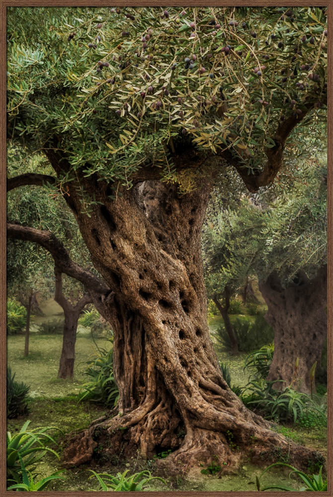 Gethsemane by Robert A Boyd