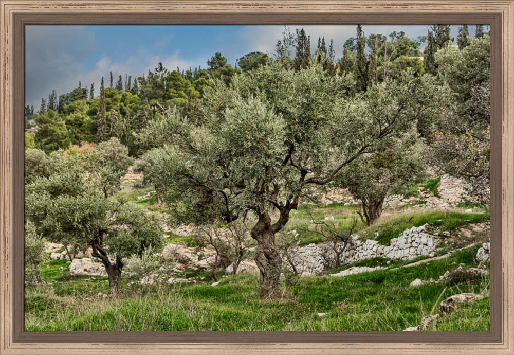 Mount of Olives