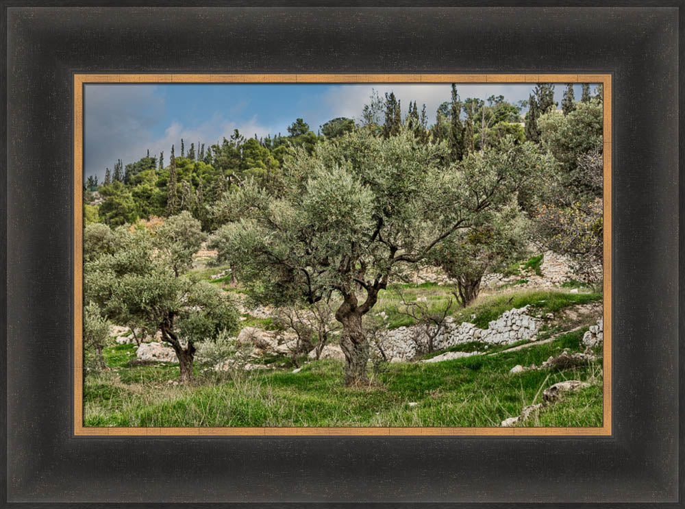 Mount of Olives