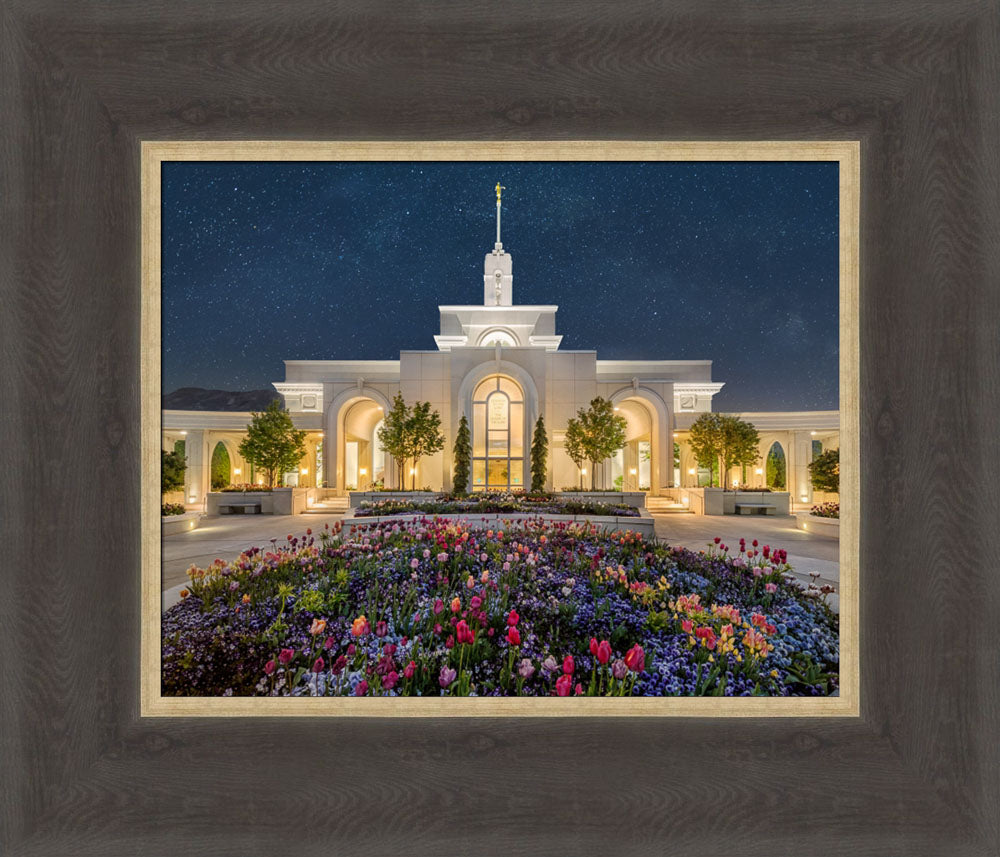 Mt Timpanogos Temple - Holiness to the Lord