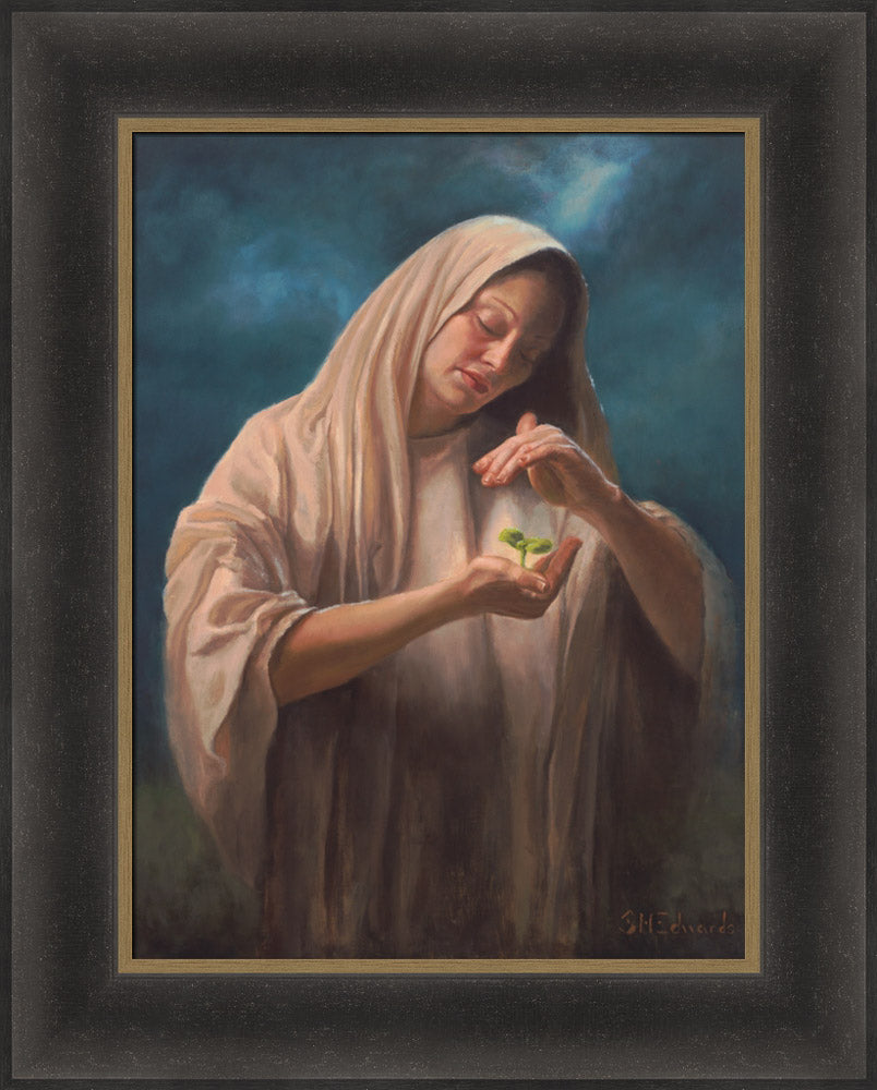 Seedling by Susan Edwards