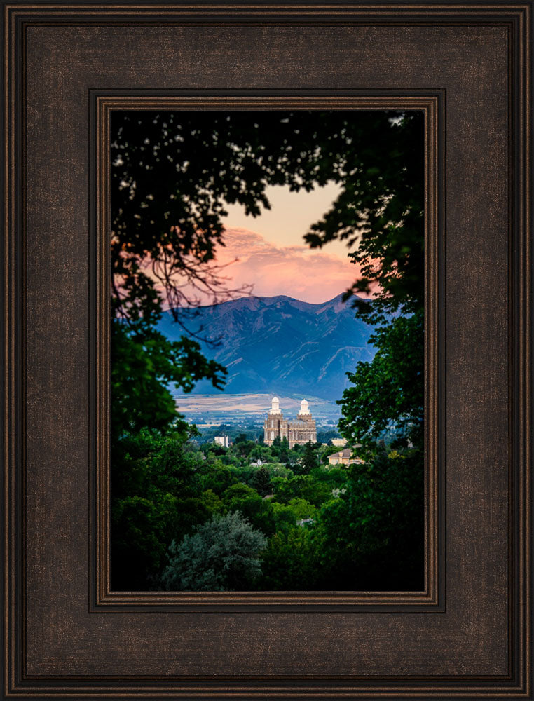 Logan Temple - Framed by Trees