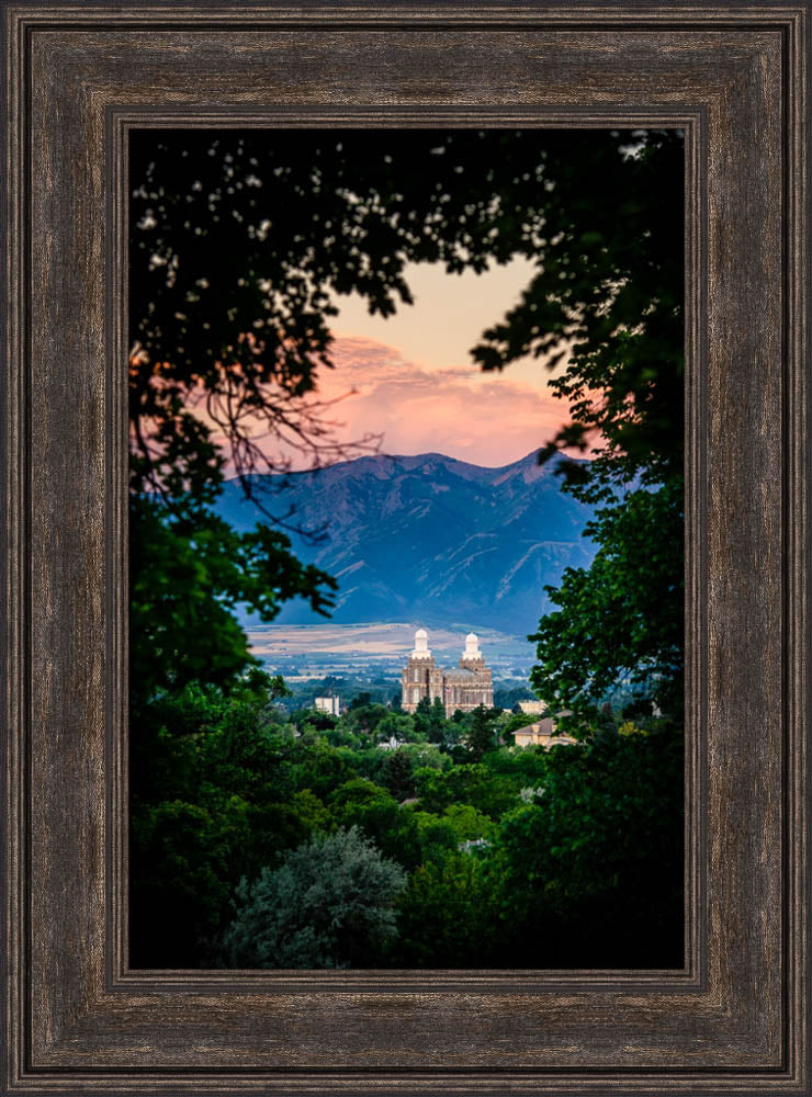 Logan Temple - Framed by Trees