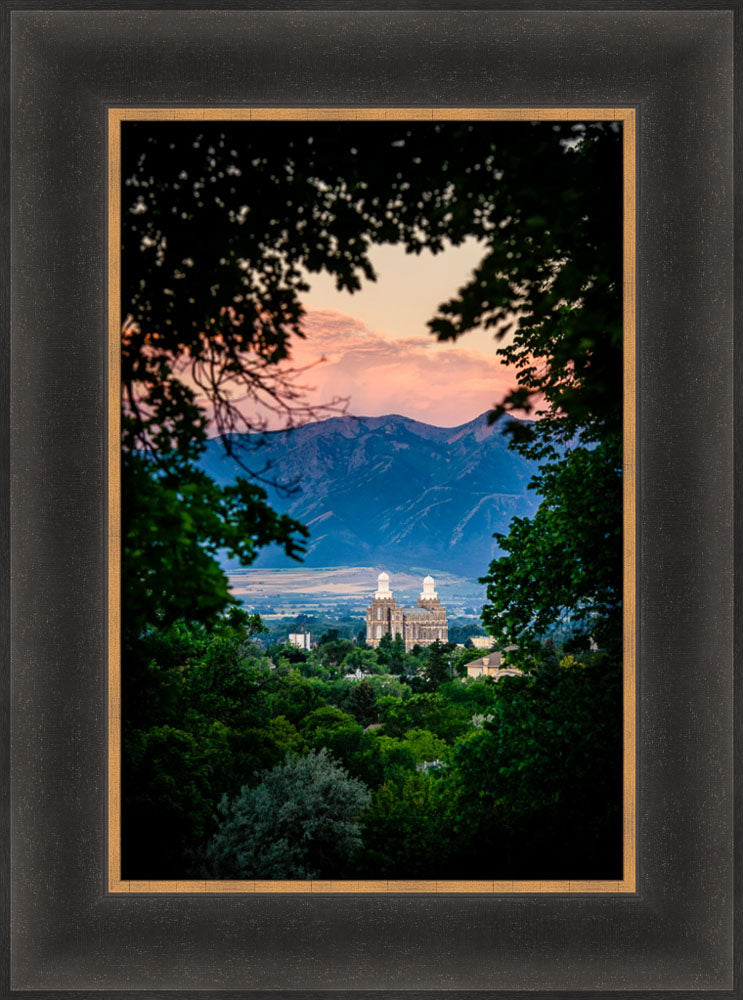 Logan Temple - Framed by Trees