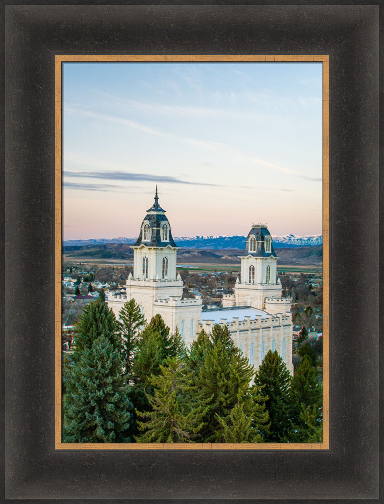 Manti Temple - Above the Trees