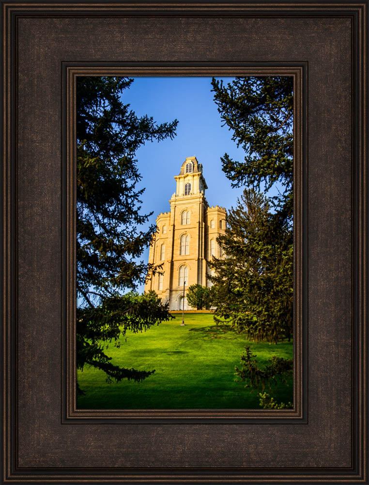 Manti Temple - Through the Trees
