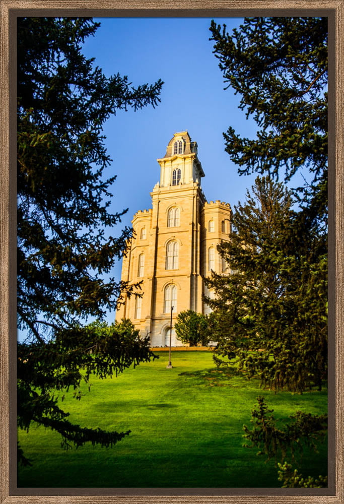 Manti Temple - Through the Trees