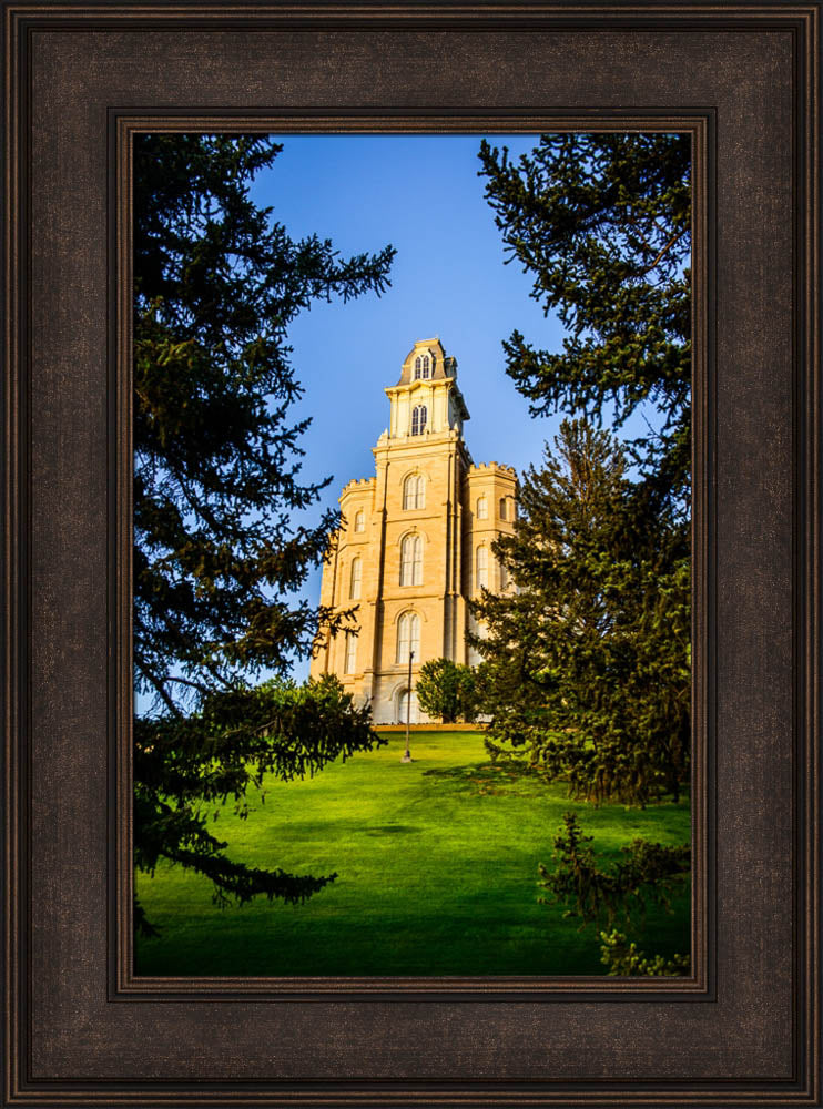 Manti Temple - Through the Trees