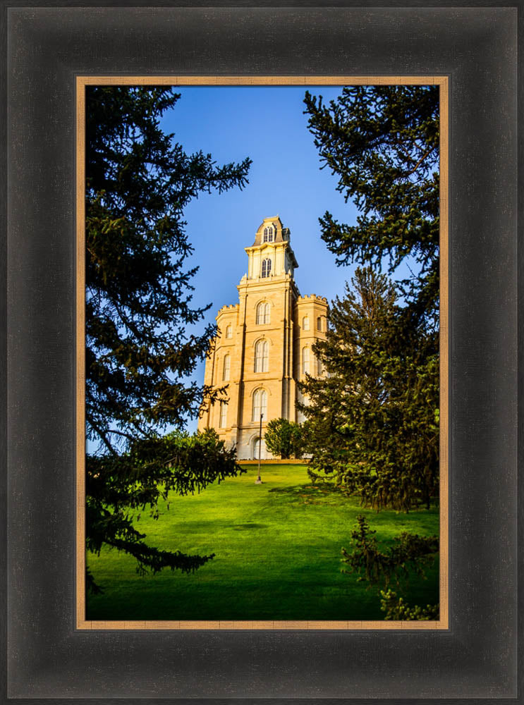 Manti Temple - Through the Trees