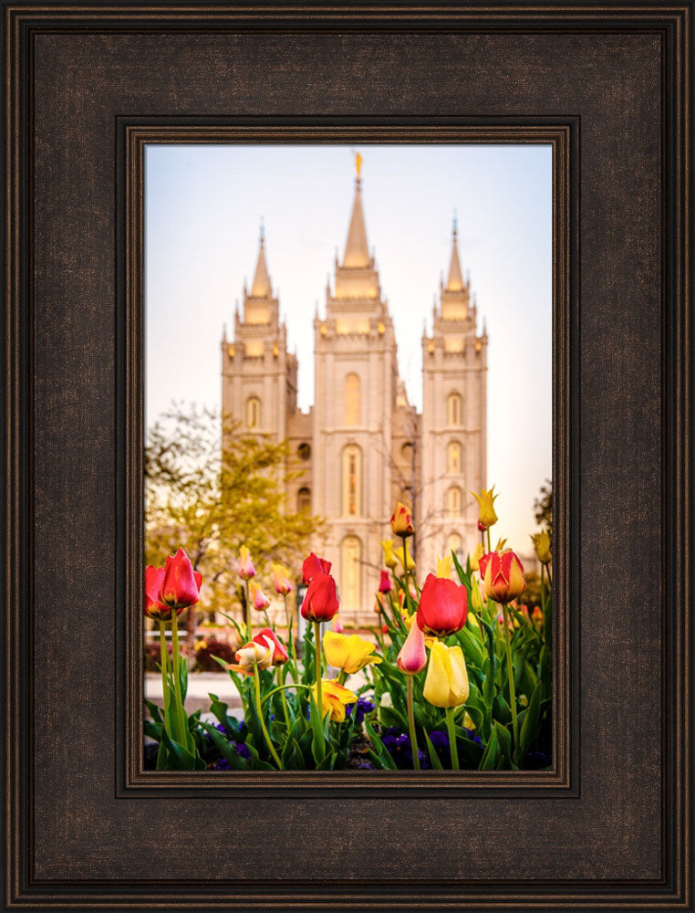 Salt Lake Temple - Tulips