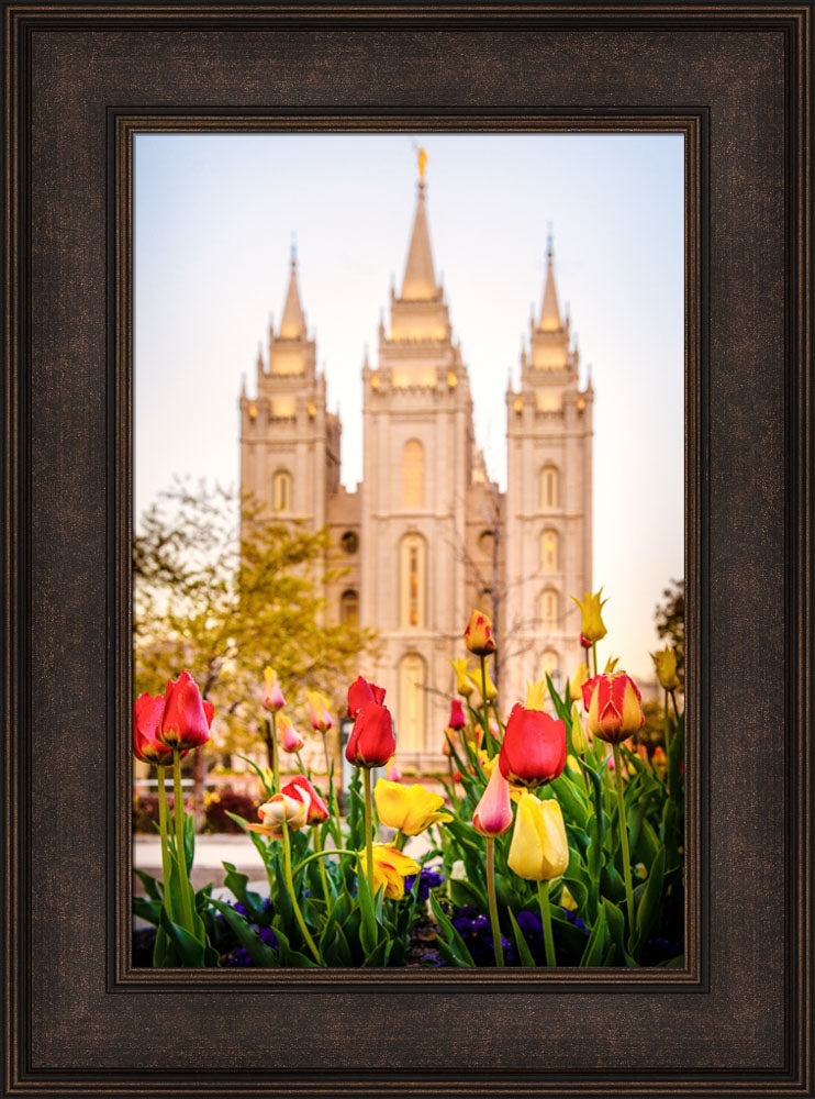 Salt Lake Temple - Tulips