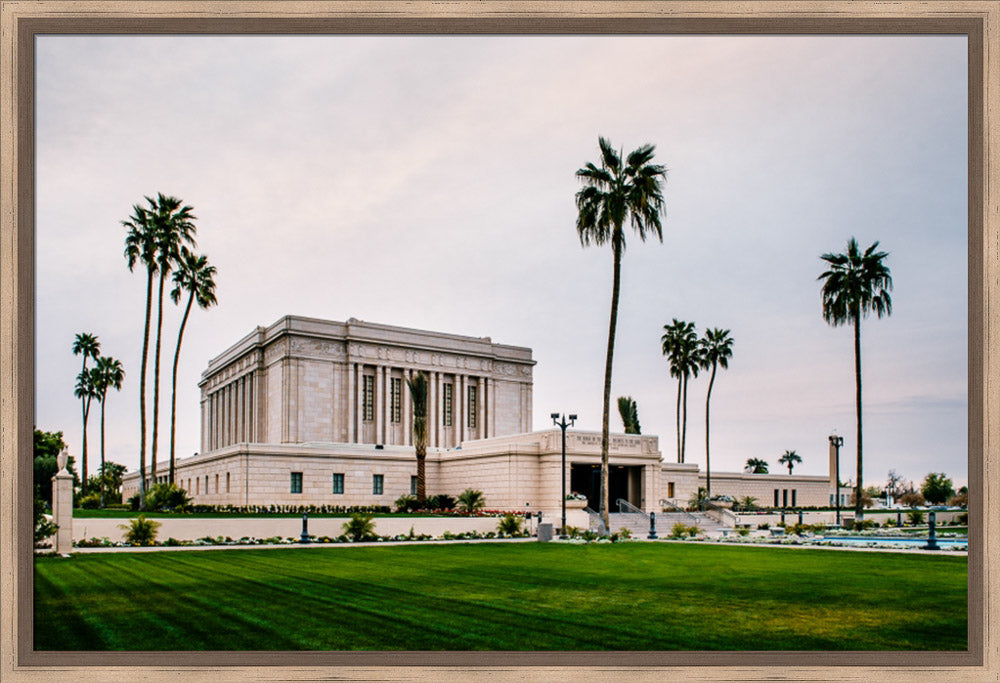 Mesa Temple - Palm Trees