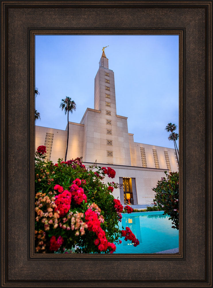Los Angeles Temple - Red Flowers