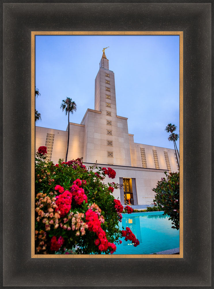 Los Angeles Temple - Red Flowers
