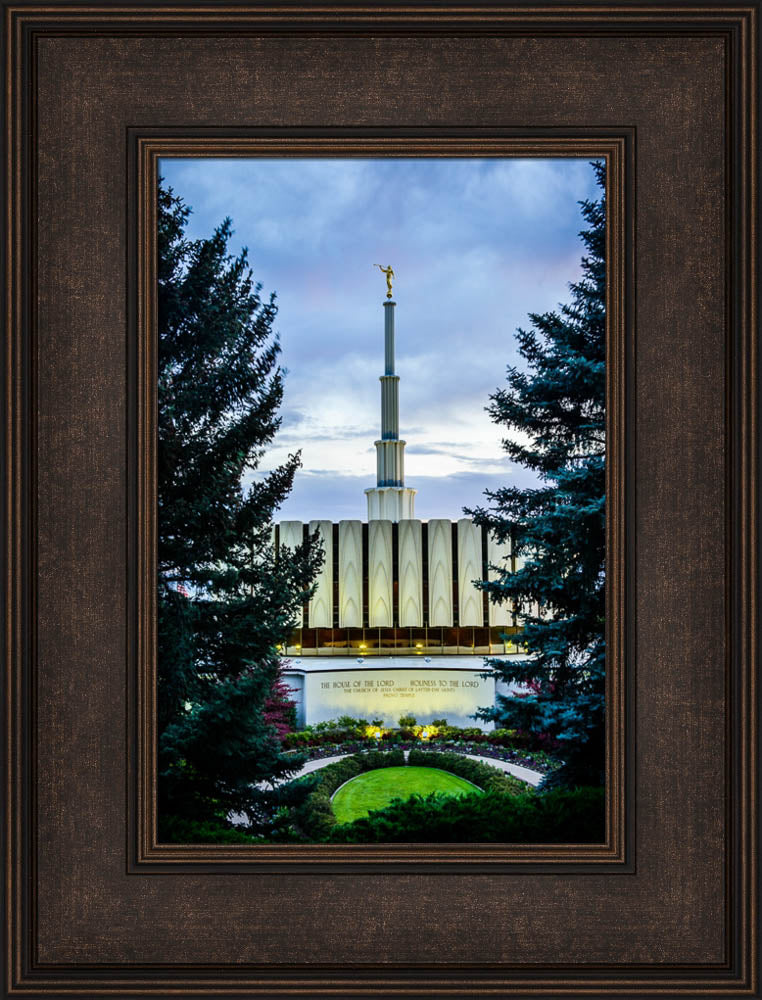 Provo Temple - Between the Trees
