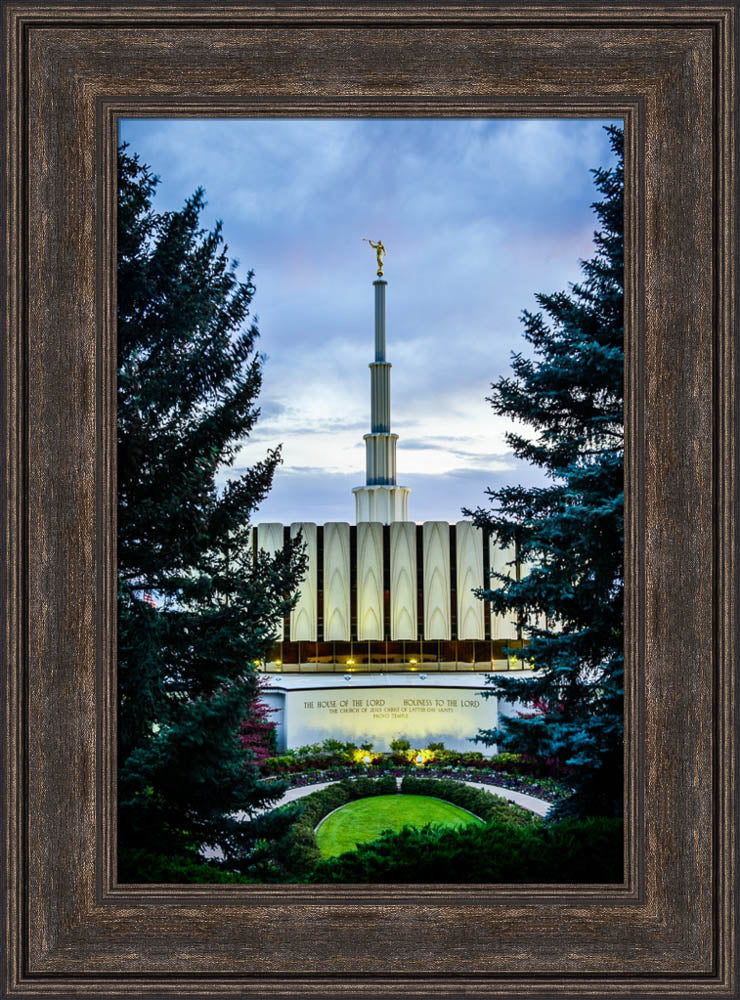 Provo Temple - Between the Trees