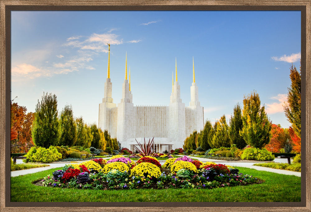 Washington DC Temple - Flowers