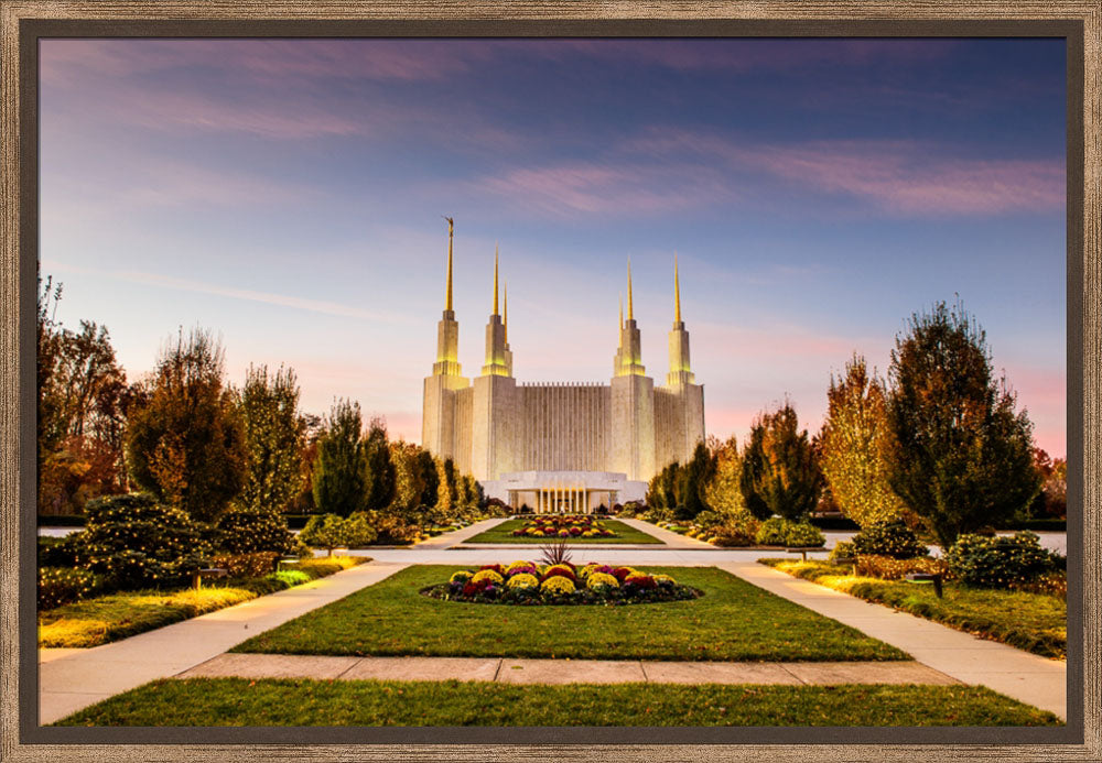 Washington DC Temple - Yellow Christmas Lights