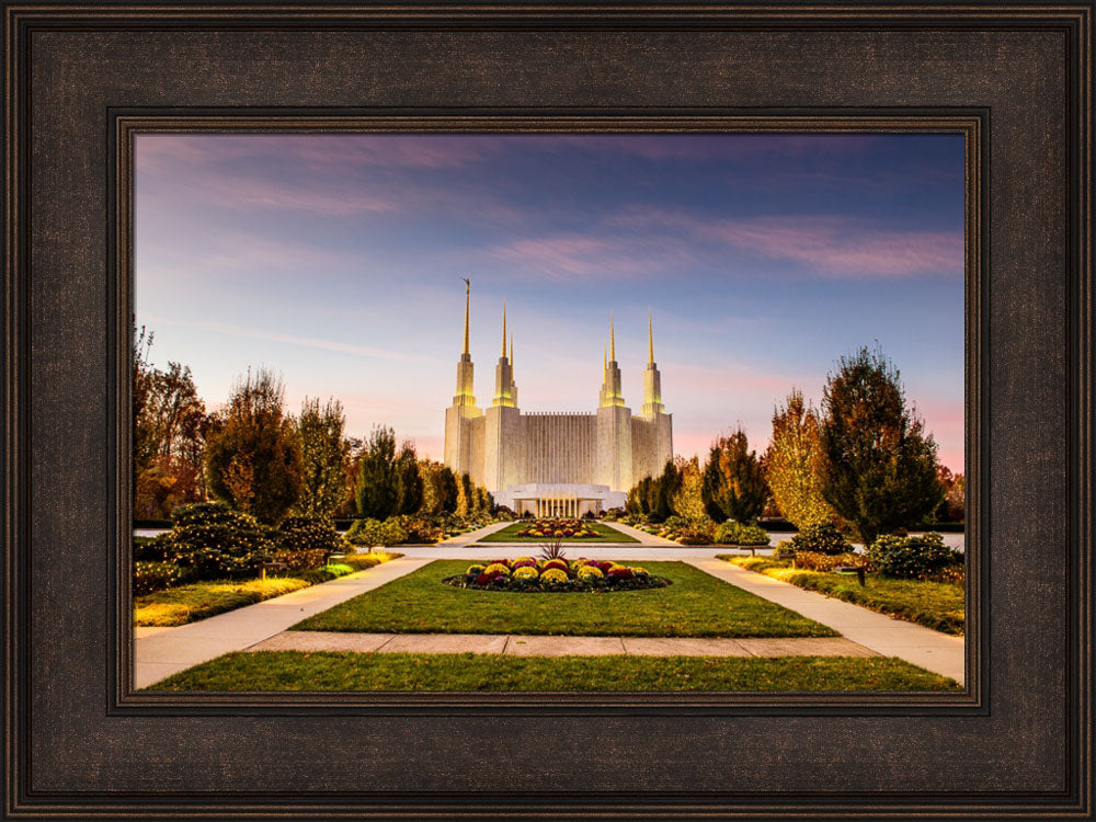 Washington DC Temple - Yellow Christmas Lights