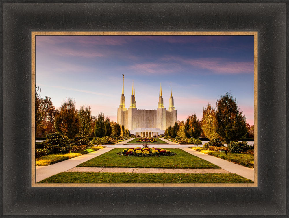Washington DC Temple - Yellow Christmas Lights