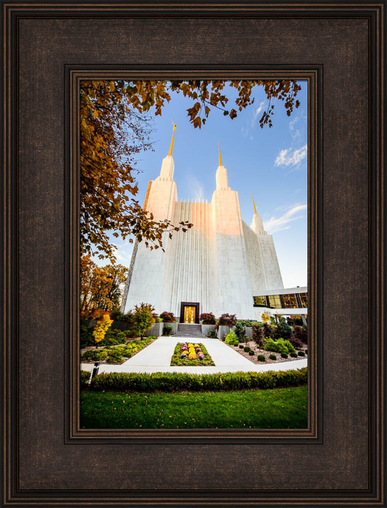 Washington DC Temple - Through the Leaves