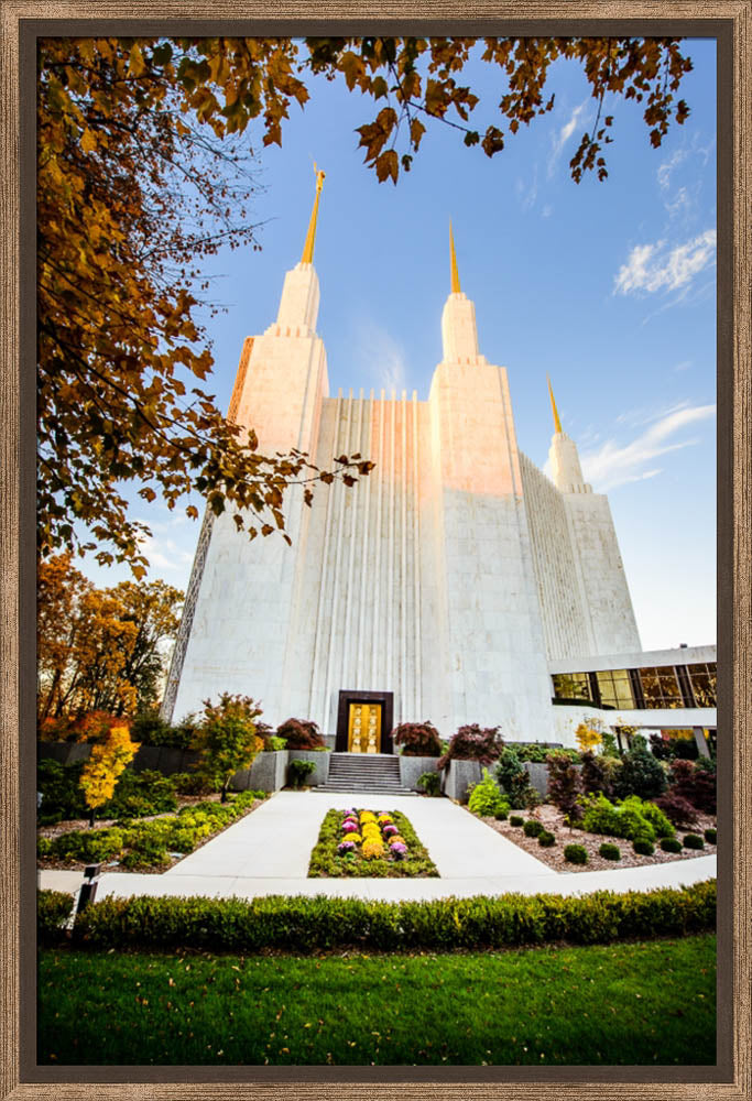 Washington DC Temple - Through the Leaves