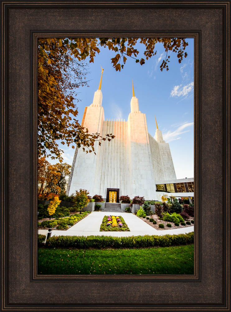 Washington DC Temple - Through the Leaves