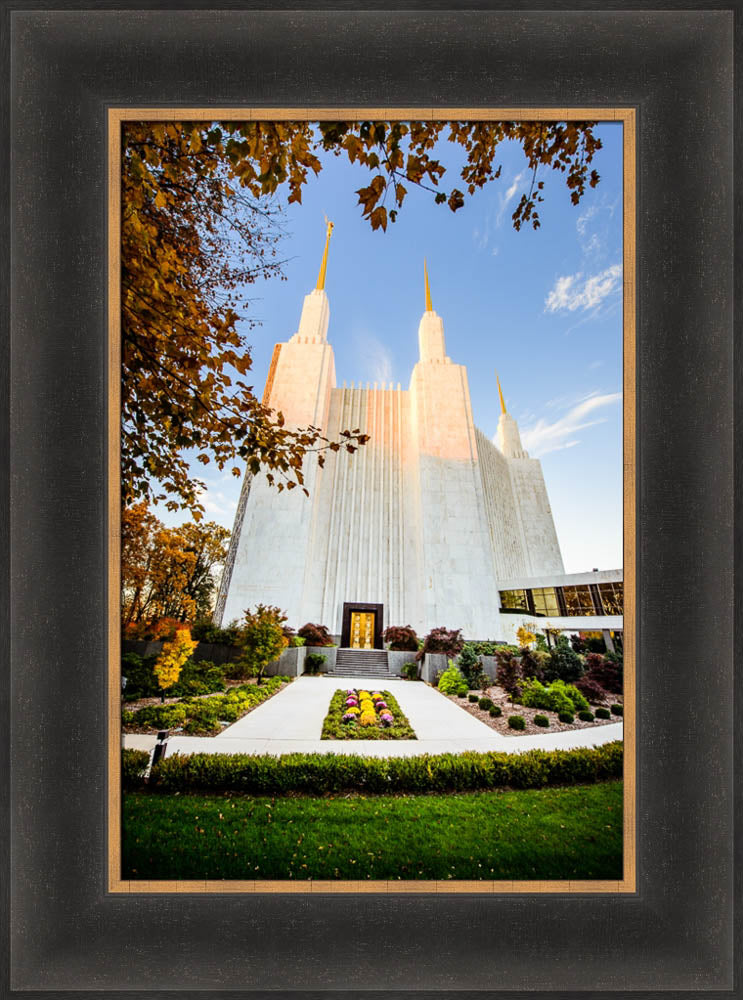 Washington DC Temple - Through the Leaves