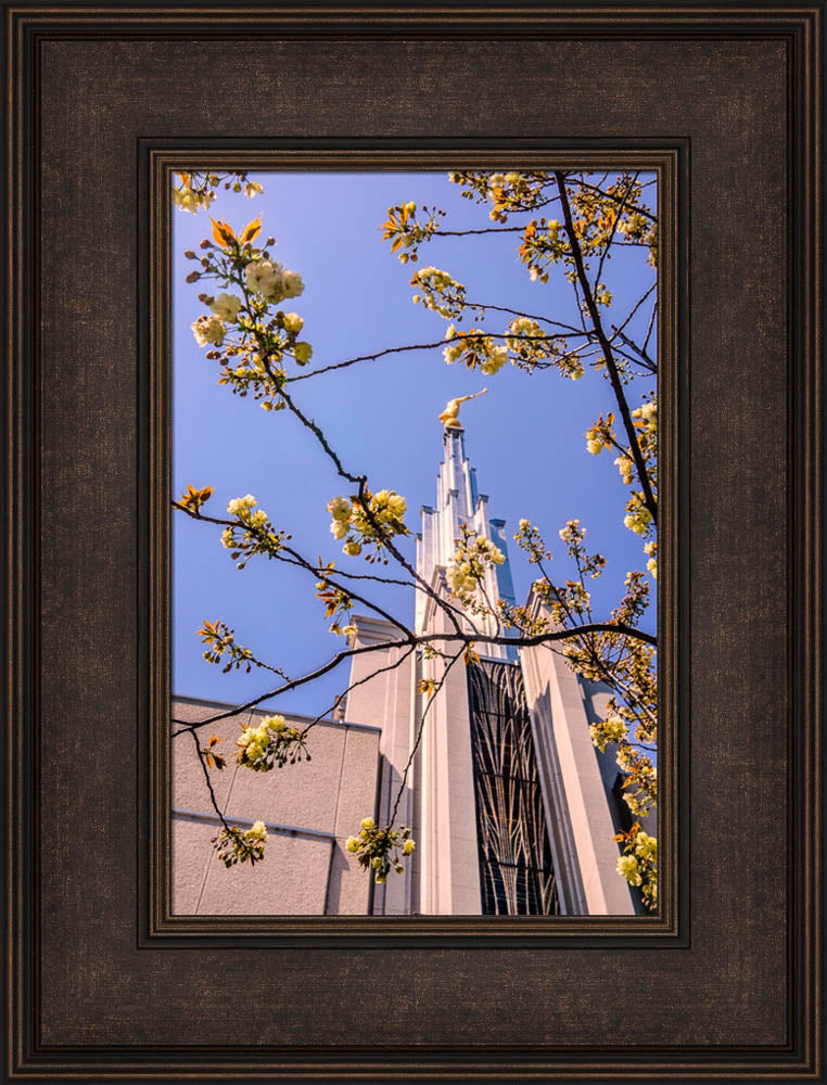 Tokyo Temple - Through the Trees