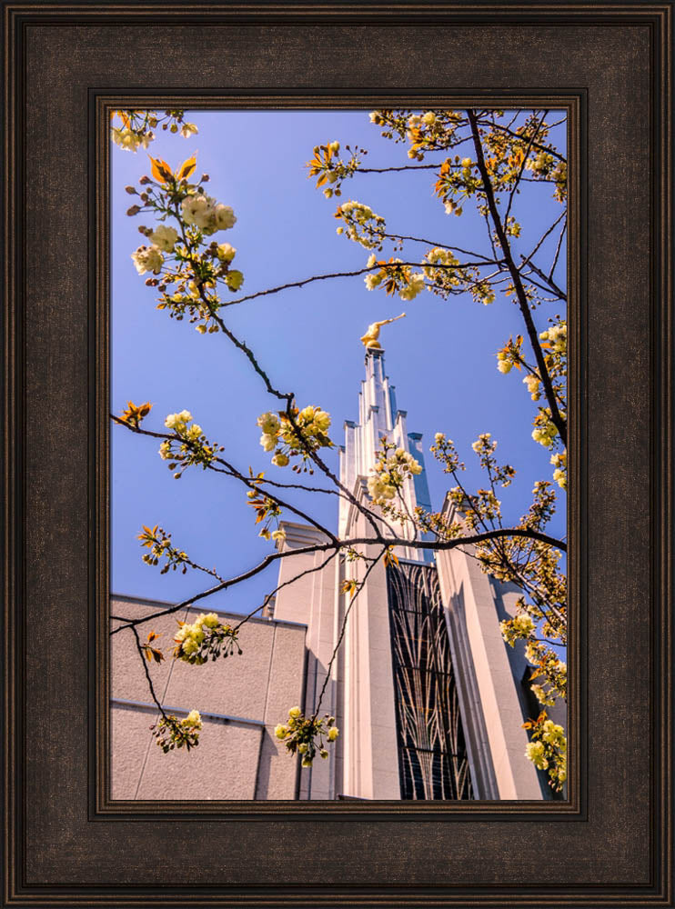 Tokyo Temple - Through the Trees
