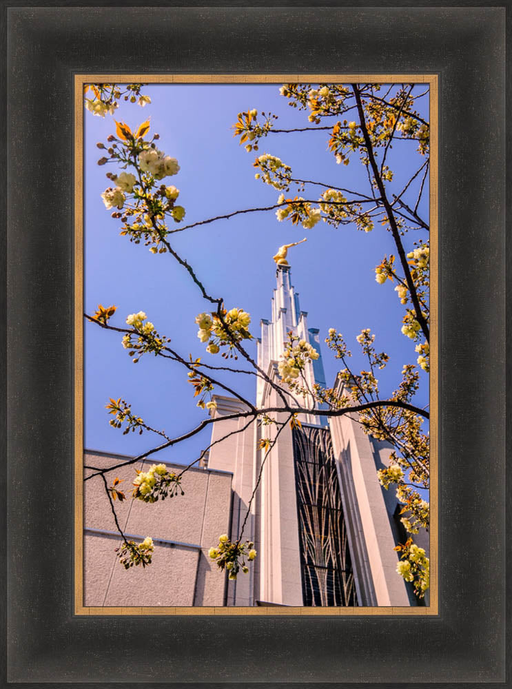 Tokyo Temple - Through the Trees