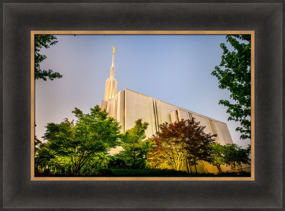 Seattle Temple - Sunset from the Side