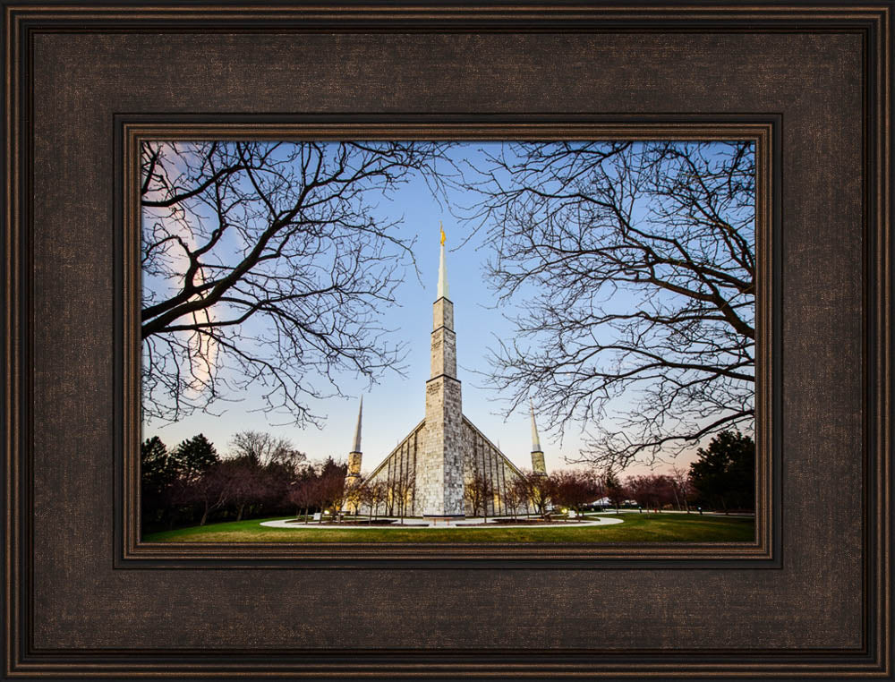 Chicago Temple - Through Trees Horizontal