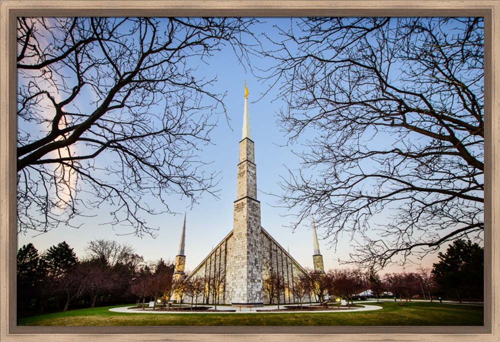 Chicago Temple - Through Trees Horizontal