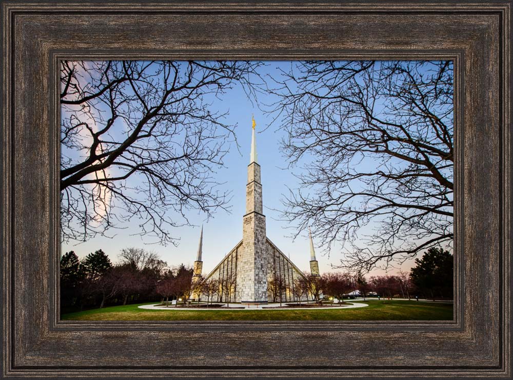 Chicago Temple - Through Trees Horizontal