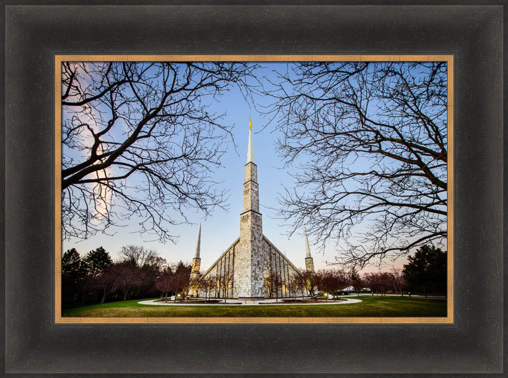 Chicago Temple - Through Trees Horizontal