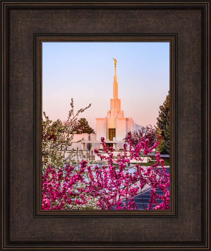 Denver Temple - Spring Sunrise