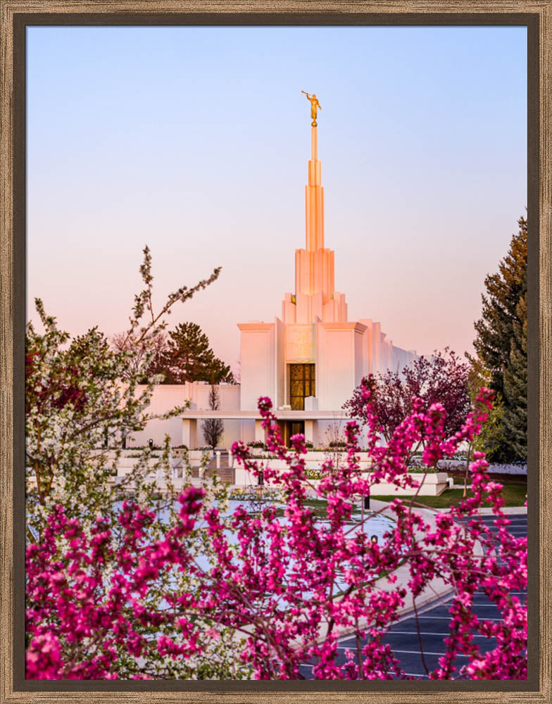 Denver Temple - Spring Sunrise